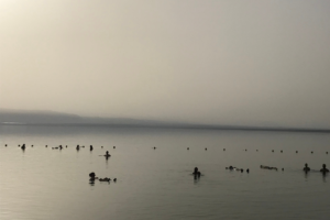dead sea salt eczema