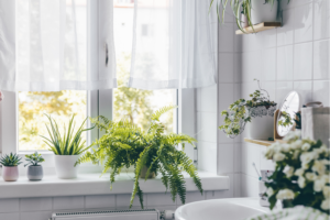 benefits of plants in bathroom