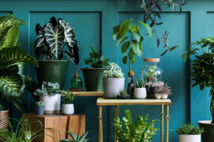 best hanging plants for bathroom