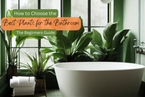best plants for the bathroom