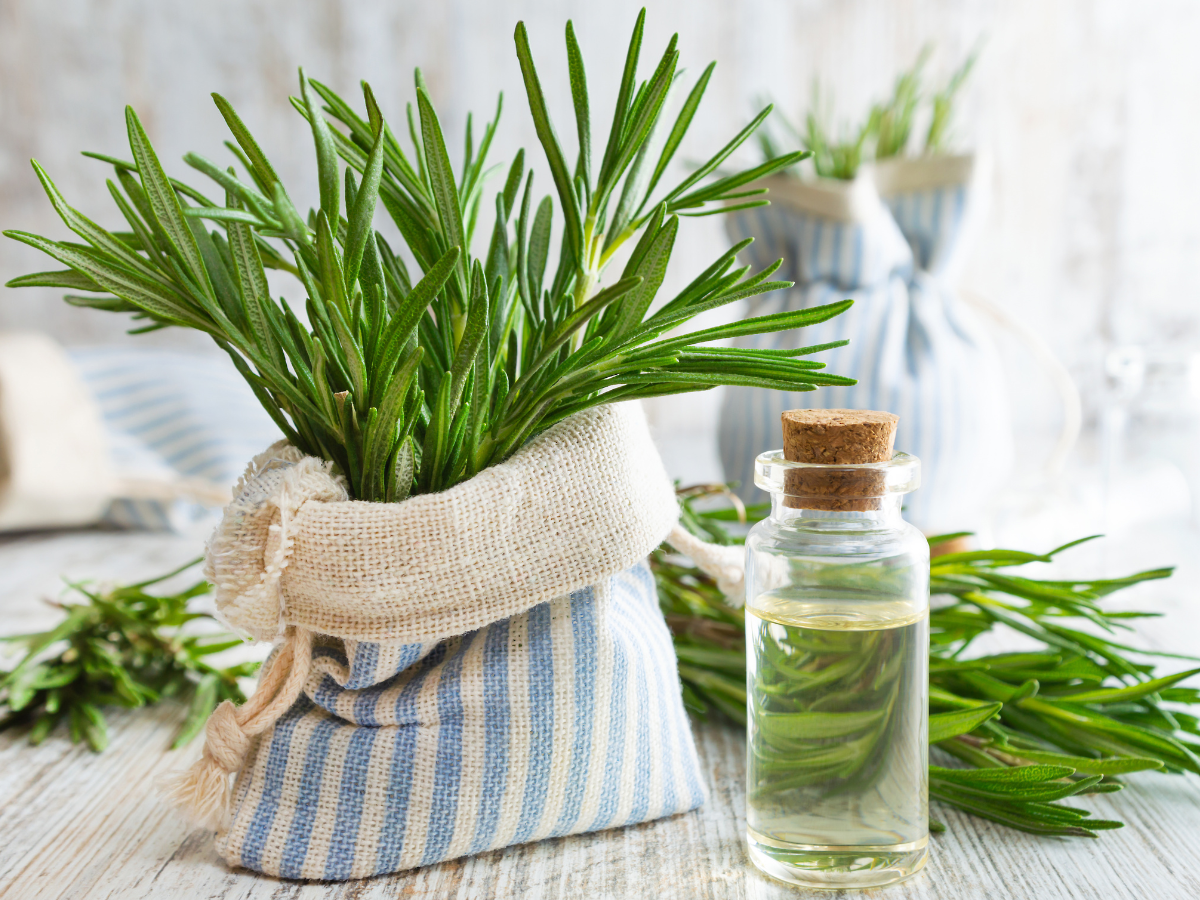 hair growth natural remedies Indian home remedies for hair growth and thickness