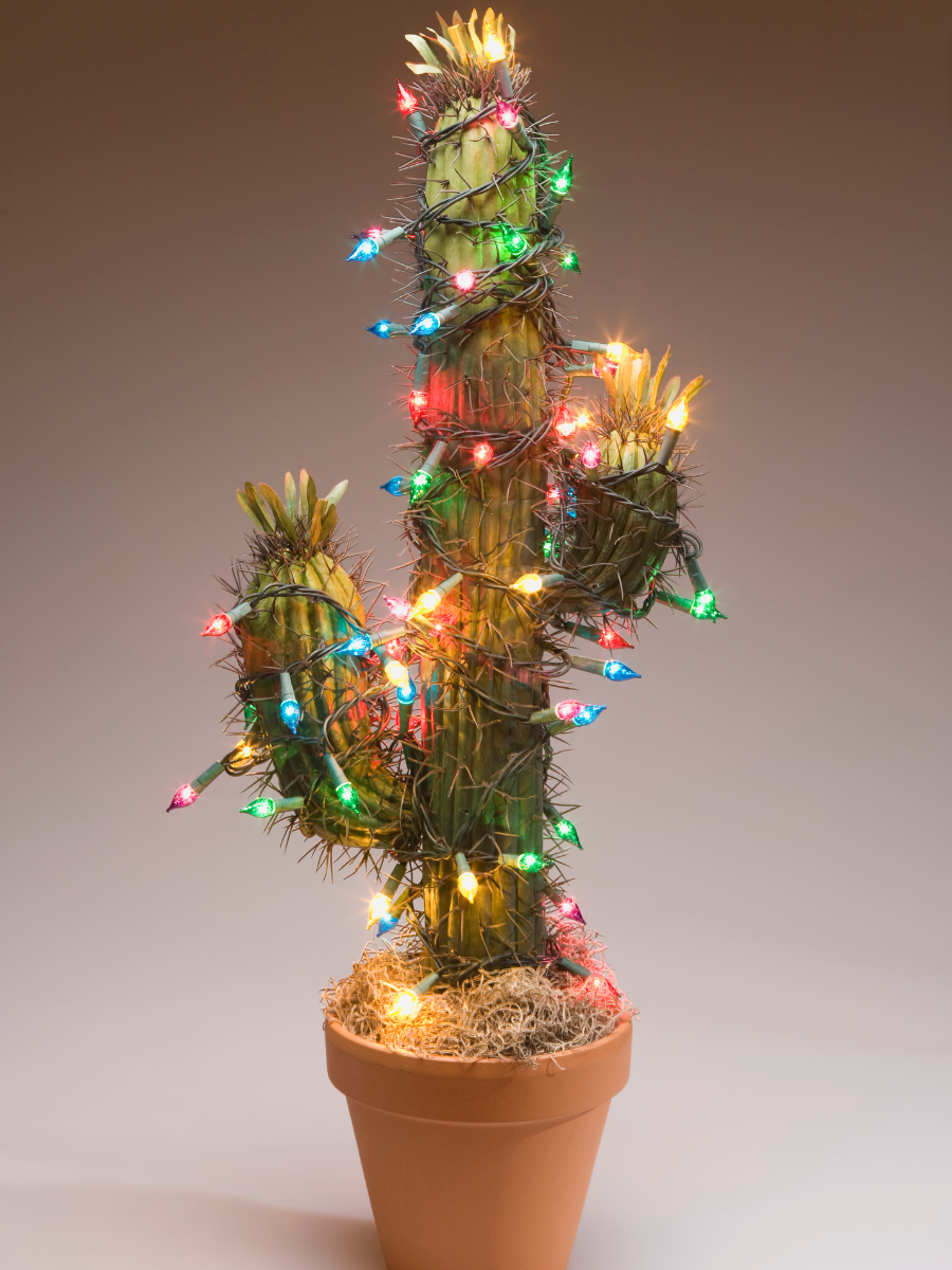 modern unique Christmas tree ideas cactus christmas tree decor
